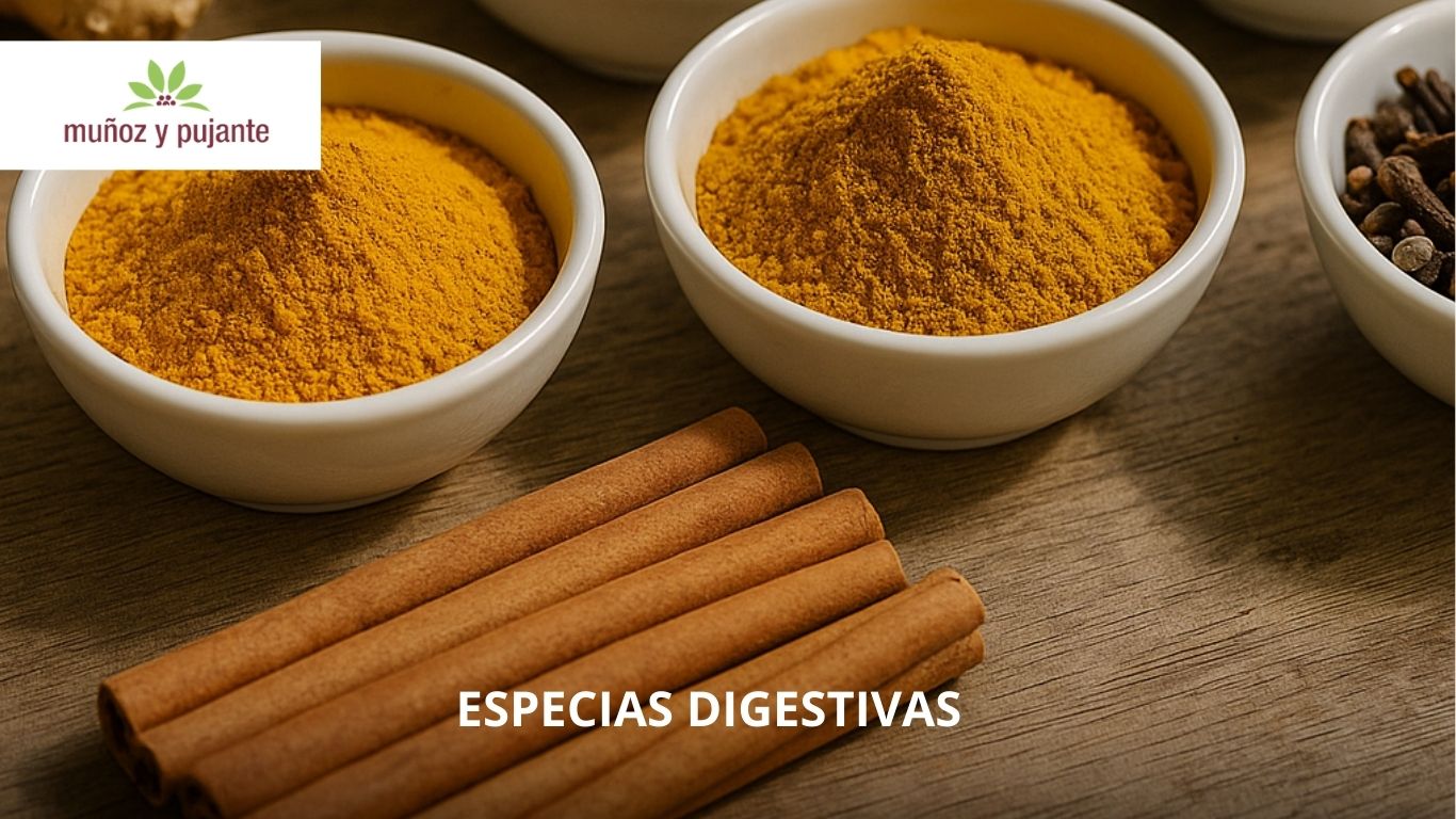 especias digestivas