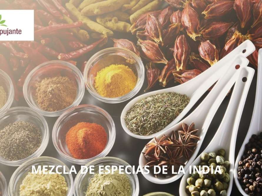 mezcla de especias de la india