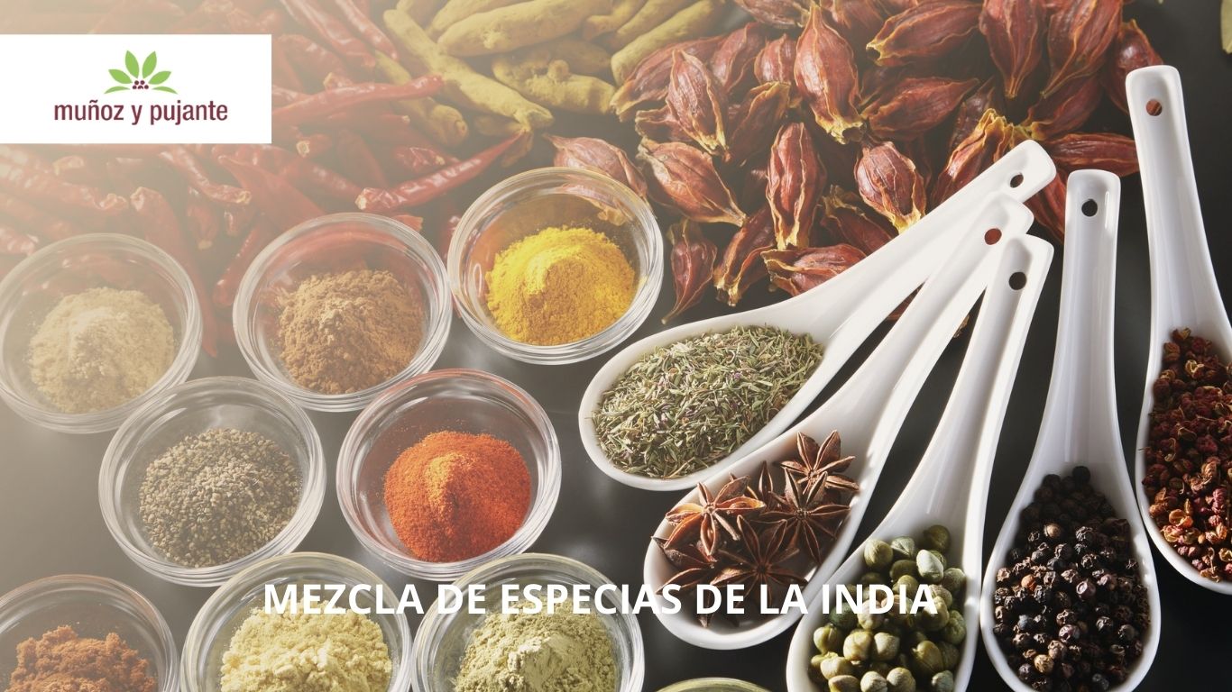 mezcla de especias de la india