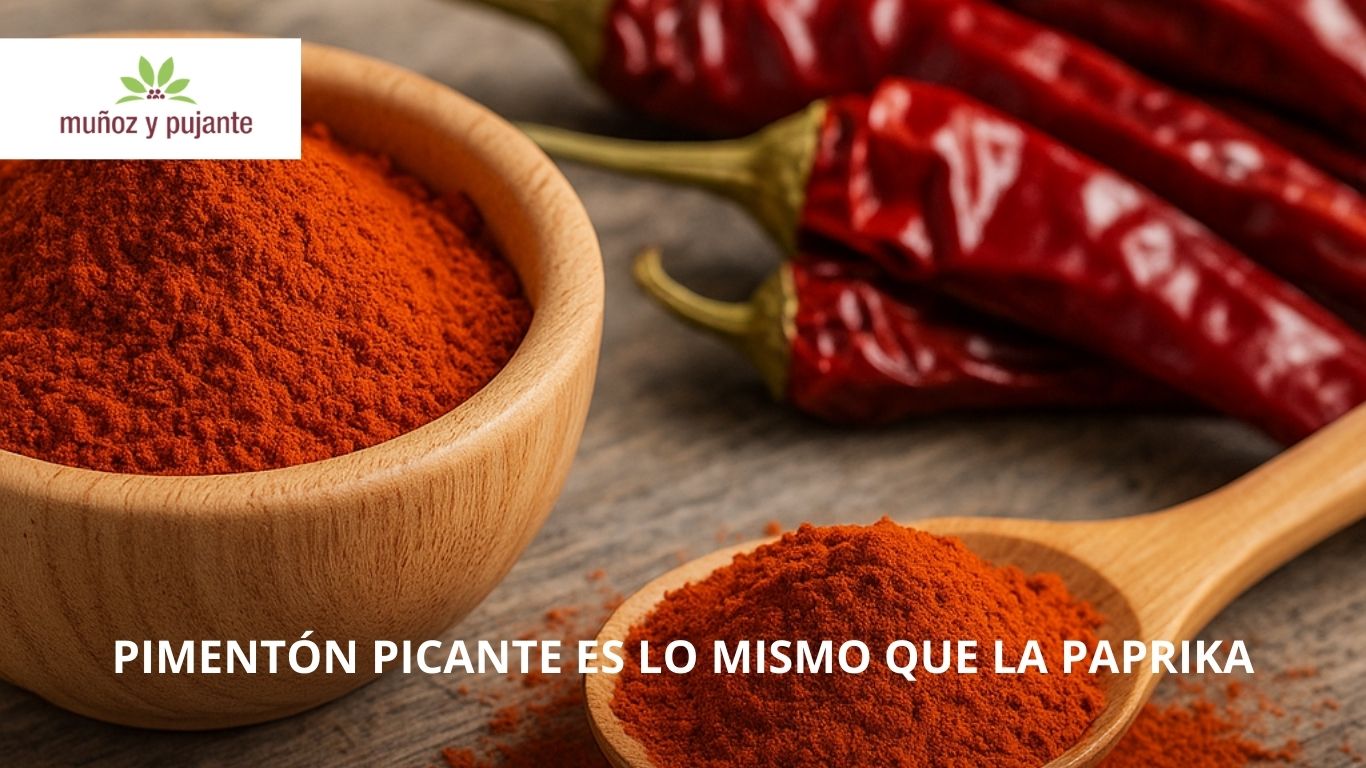 pimenton picantes es lo mismo que la paprika