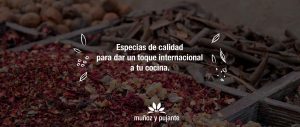 Especias de calidad para dar un toque internacional a tu cocina