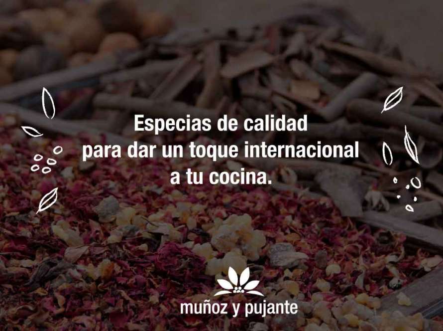 Especias de calidad para dar un toque internacional a tu cocina