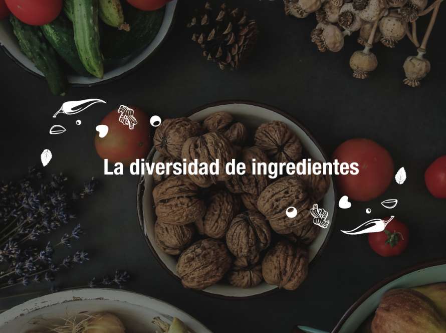 Diversidad de ingredientes